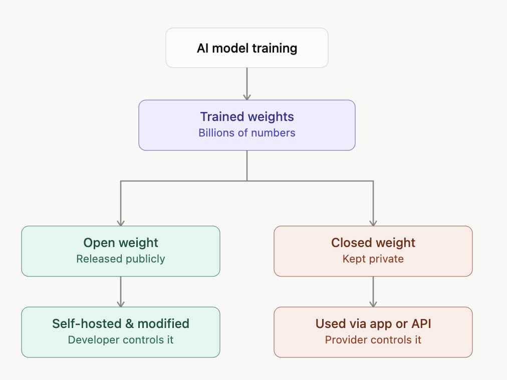 After training, a model's weights are either released publicly as open weight, so developers can self-host and modify it, or kept private as closed weight, used only through an app or API the provider controls.
